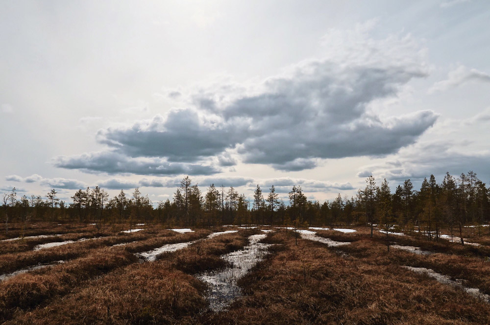rauwe natuur Kautokeino