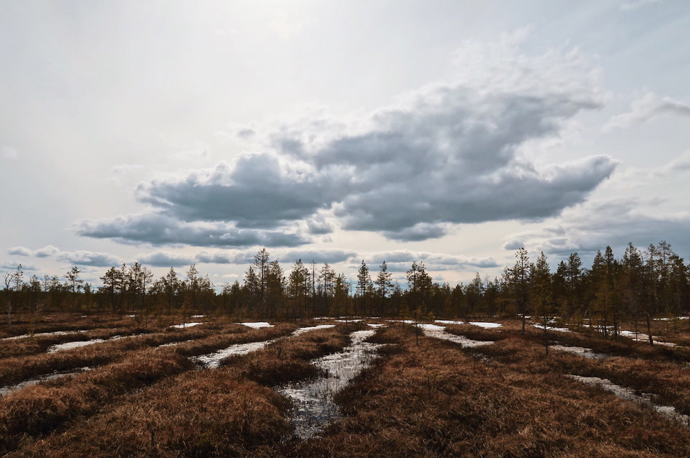 rauwe natuur Kautokeino