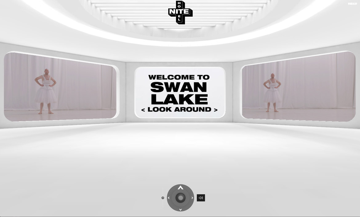 Swan Lake The Game
